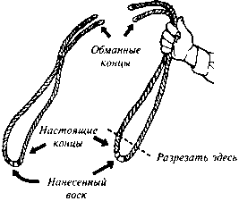 101 волшебный фокус - image38.png