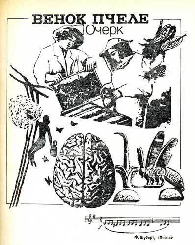 Сквозь толщу лет - pic05.jpg