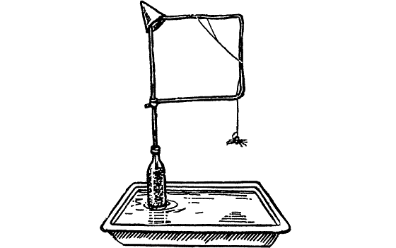 Десять маленьких непрошеных гостей. И еще десятью десять - i_095.png