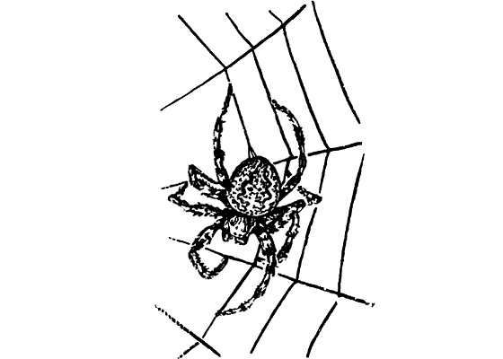 Десять маленьких непрошеных гостей. И еще десятью десять - i_096.png