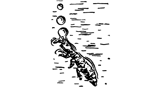 Десять маленьких непрошеных гостей. И еще десятью десять - i_099.png