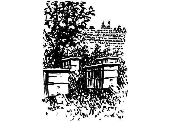 Десять маленьких непрошеных гостей. И еще десятью десять - i_112.png