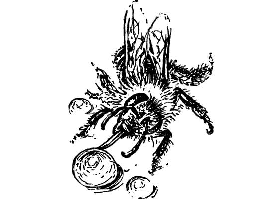 Десять маленьких непрошеных гостей. И еще десятью десять - i_113.png