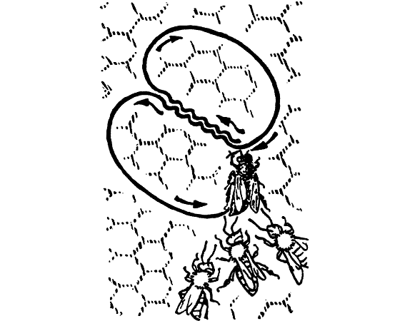 Десять маленьких непрошеных гостей. И еще десятью десять - i_117.png