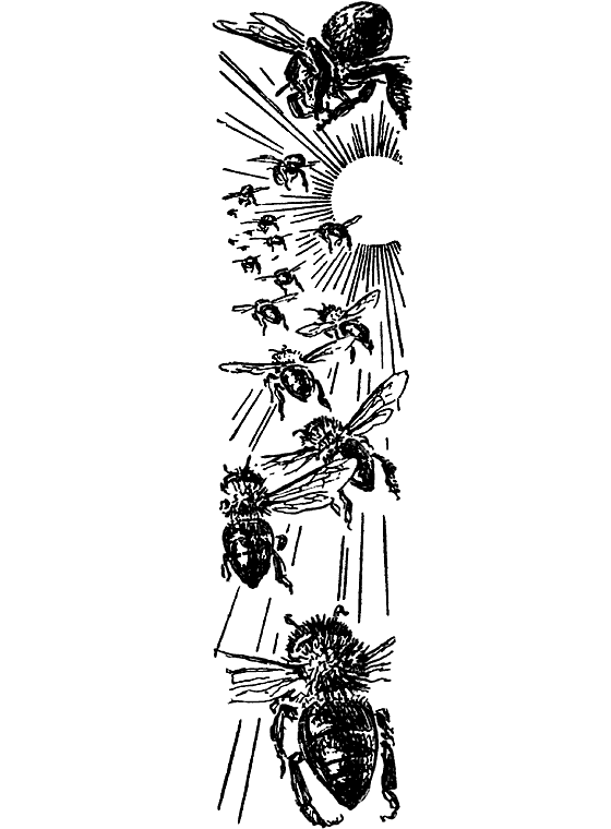 Десять маленьких непрошеных гостей. И еще десятью десять - i_118.png