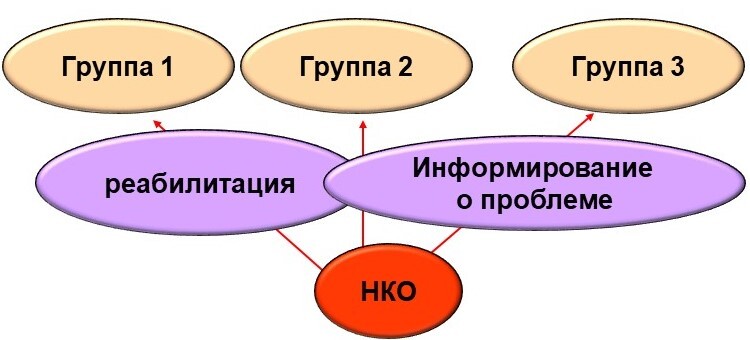 Оценка эффективности НКО: методология и результаты исследования - _5.jpg