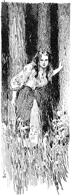 Вечера на хуторе близ Диканьки. Миргород. Петербургские повести - _0057.jpg