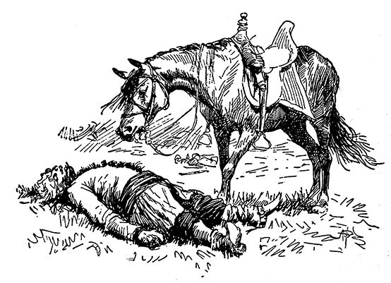 Вечера на хуторе близ Диканьки. Миргород. Петербургские повести - _0092.jpg