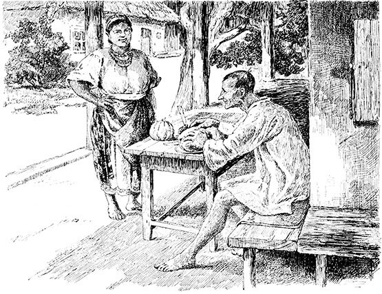 Вечера на хуторе близ Диканьки. Миргород. Петербургские повести - _0105.jpg