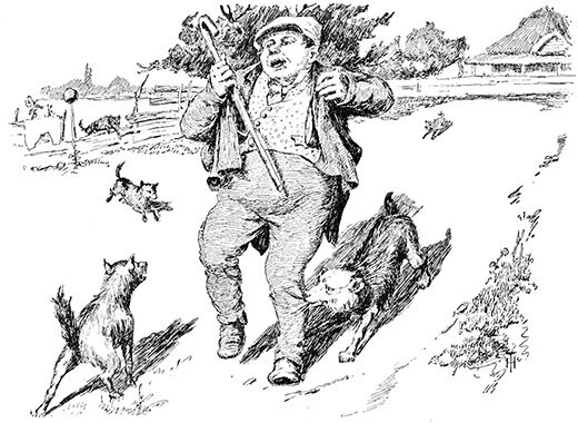 Вечера на хуторе близ Диканьки. Миргород. Петербургские повести - _0113.jpg