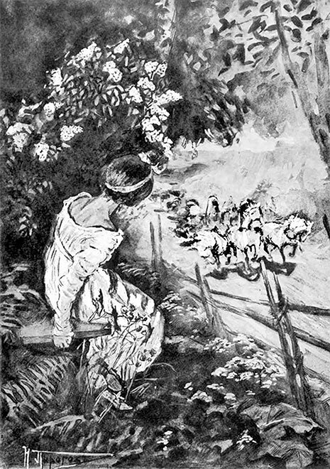 Вечера на хуторе близ Диканьки. Миргород. Петербургские повести - _0151.jpg