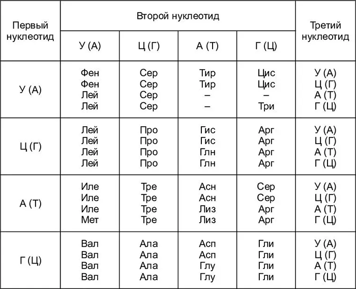 Рабочая тетрадь-тренажер по биохимии для студентов специальности «Лечебное дело» - i_052.png