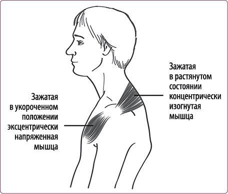 Правильная осанка – долгая молодость: Система Осьмионика. Воскресение лица, или Обыкновенное чудо: Теория и практика восстановления молодости. Мир лица и его тайны: Методика возвращения молодости - i_018.jpg