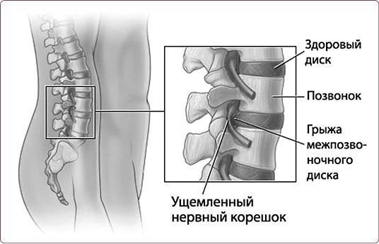 Правильная осанка – долгая молодость: Система Осьмионика. Воскресение лица, или Обыкновенное чудо: Теория и практика восстановления молодости. Мир лица и его тайны: Методика возвращения молодости - i_033.jpg