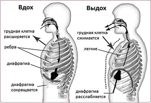 Правильная осанка – долгая молодость: Система Осьмионика. Воскресение лица, или Обыкновенное чудо: Теория и практика восстановления молодости. Мир лица и его тайны: Методика возвращения молодости - i_074.jpg