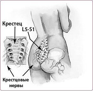 Правильная осанка – долгая молодость: Система Осьмионика. Воскресение лица, или Обыкновенное чудо: Теория и практика восстановления молодости. Мир лица и его тайны: Методика возвращения молодости - i_096.jpg