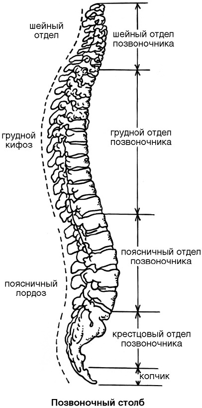 Самоисцеление. Гимнастика для внутренних органов - b00000132.jpg