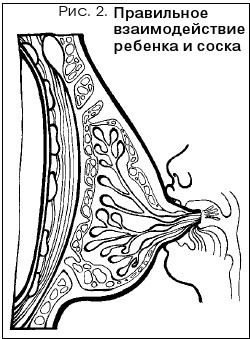 Мать и дитя. Ваш ребенок до года - b00000289.jpg