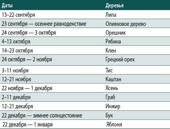 Магия деревьев: Как соединиться с их духом и стать мудрее. Древняя магия деревьев: Как распознавать и работать с ними в духовной и магической практике. Кельтские ритуалы с деревьями: Церемонии для тринадцати лунных месяцев и одного дня - i_020.jpg