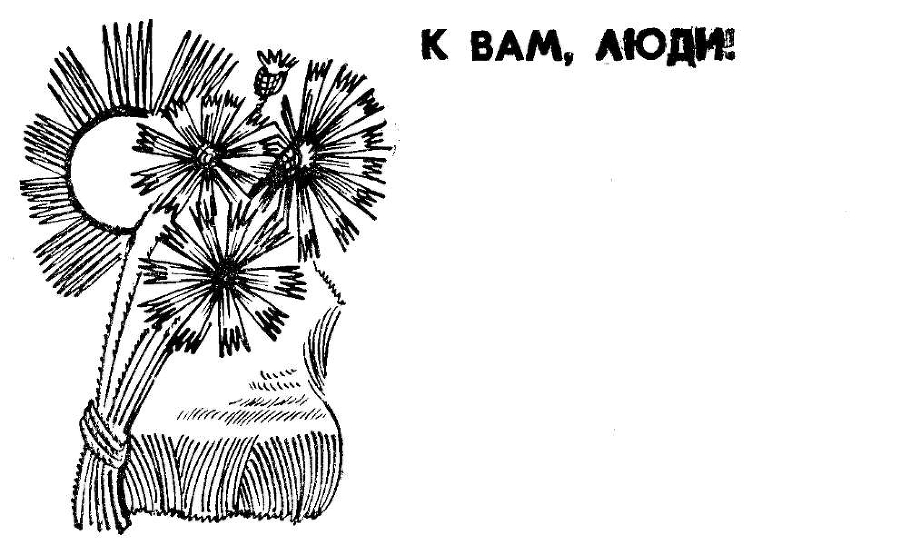 Сердце и камень - img_18.jpg