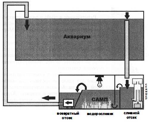Чем престижна профессия строителя. Немного моря за стеклом ("Сделай сам" №1∙2020) - _25.jpg_0