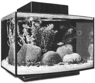 Чем престижна профессия строителя. Немного моря за стеклом ("Сделай сам" №1∙2020) - _29.jpg_0