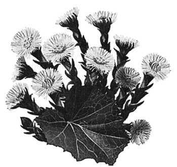 Чем престижна профессия строителя. Немного моря за стеклом ("Сделай сам" №1∙2020) - _31.jpg_0