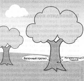 Чем престижна профессия строителя. Немного моря за стеклом ("Сделай сам" №1∙2020) - _51.jpg