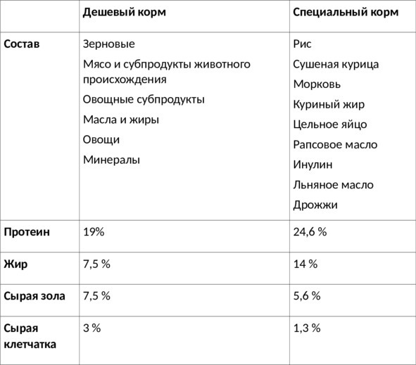 Французский бульдог. Питание, воспитание, характер, дрессировка и многое другое о французском бульдоге - image4_63629b0524491af95ccbcc51_jpg.jpeg