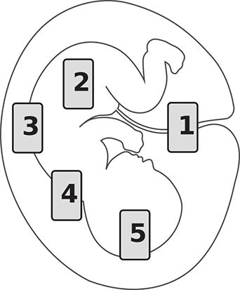 Мир наизнанку - i_007.png