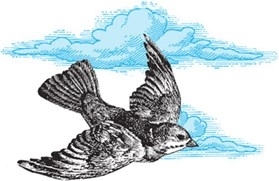 Земля, Воздух, Огонь и Вода: еще больше техник природной магии. Магия стихий: Земля, Воздух, Огонь, Вода и Дух - i_018.jpg