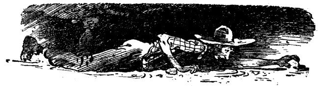 Сорок изыскателей. За березовыми книгами - G_17.png