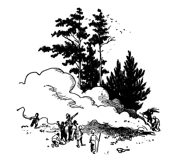 Сорок изыскателей. За березовыми книгами - G_65.png