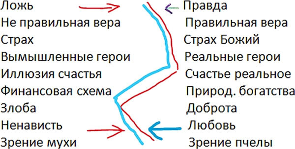 Парадоксальная логика бытия - i_011.jpg