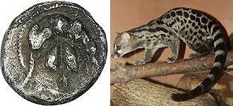 Сильфий - трава ангела - i_080.jpg