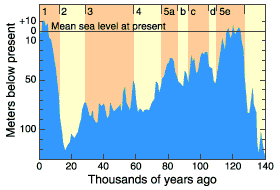 Сильфий - трава ангела - i_083.png