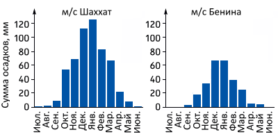 Сильфий - трава ангела - i_099.png