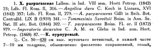 Сильфий - трава ангела - i_105.png