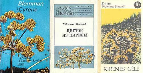 Сильфий - трава ангела - i_119.jpg