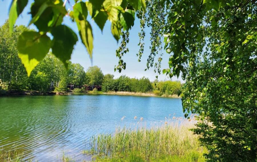 Создание запоминающихся пейзажных снимков - _6.jpg