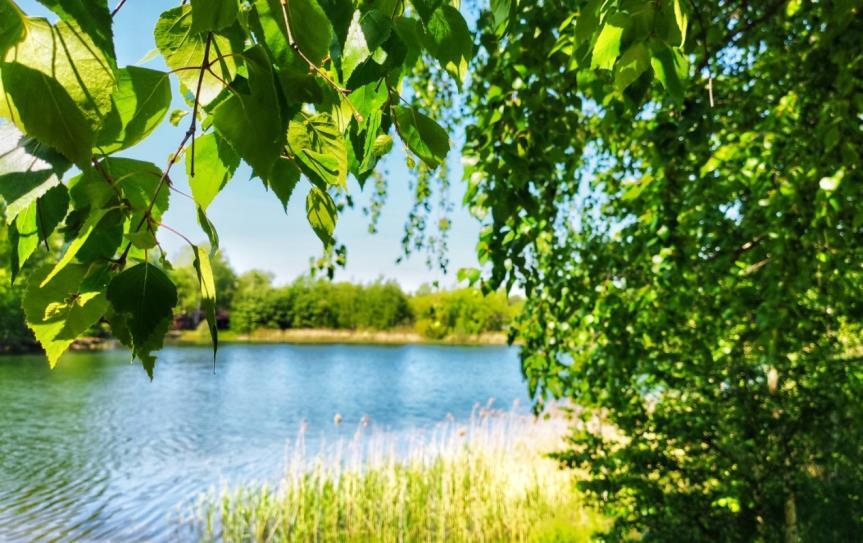 Создание запоминающихся пейзажных снимков - _7.jpg