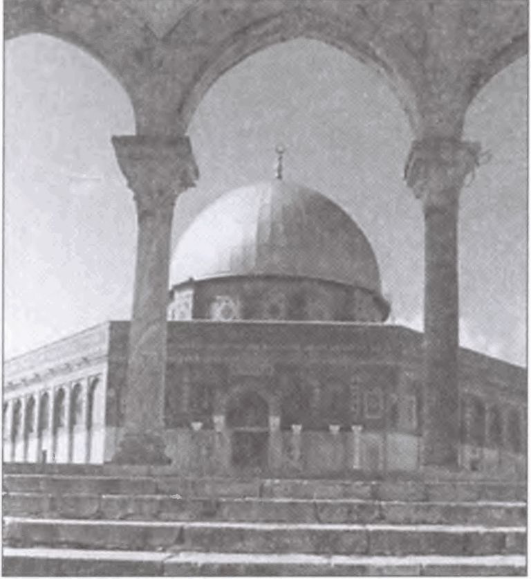 Тамплиеры. Рыцари-храмовники - i_015.jpg