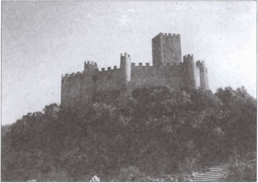 Тамплиеры. Рыцари-храмовники - i_036.jpg