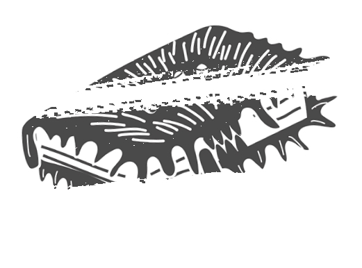 Я получил сову! Фанбук по волшебному миру Гарри Поттера - i_027.jpg