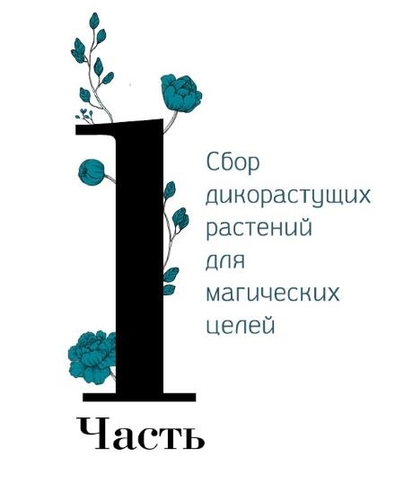 Дикие растения: руководство для ведьмы: Обычные травы для необычной магии. Магия трав от А до Я: Полная энциклопедия волшебных растений - i_004.jpg