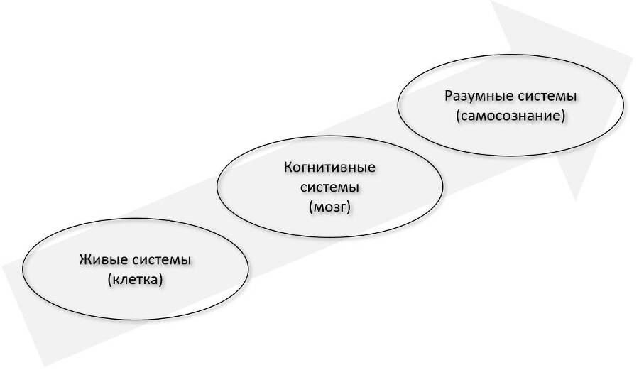 Новый организационный дизайн. Управление системными трансформациями компаний - _1.jpg