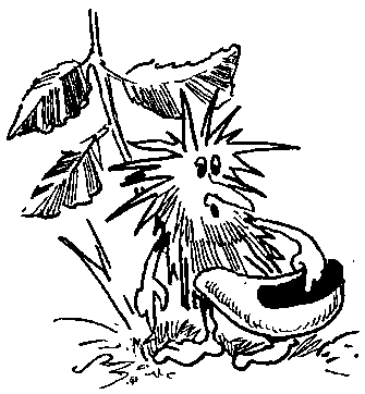 Призраки ночи - i_028.png