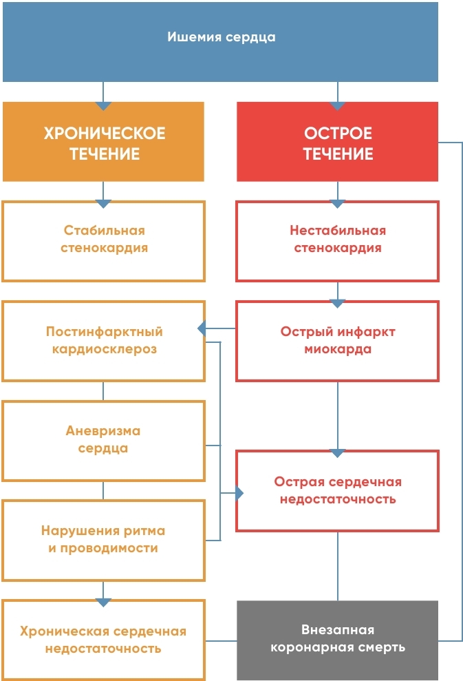 У меня есть сердце. Как продлить срок службы сердца и сосудов - i_022.jpg