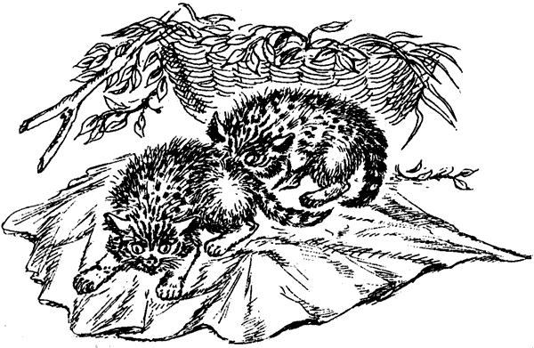 Новый Ной - i_024.png