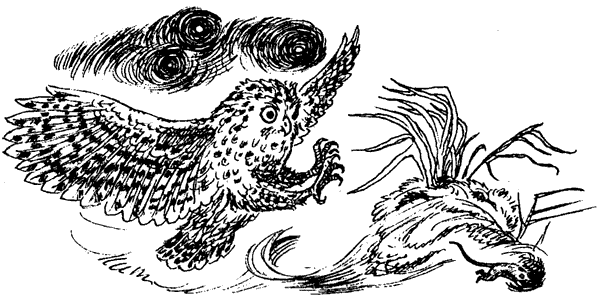 Новый Ной - i_025.png